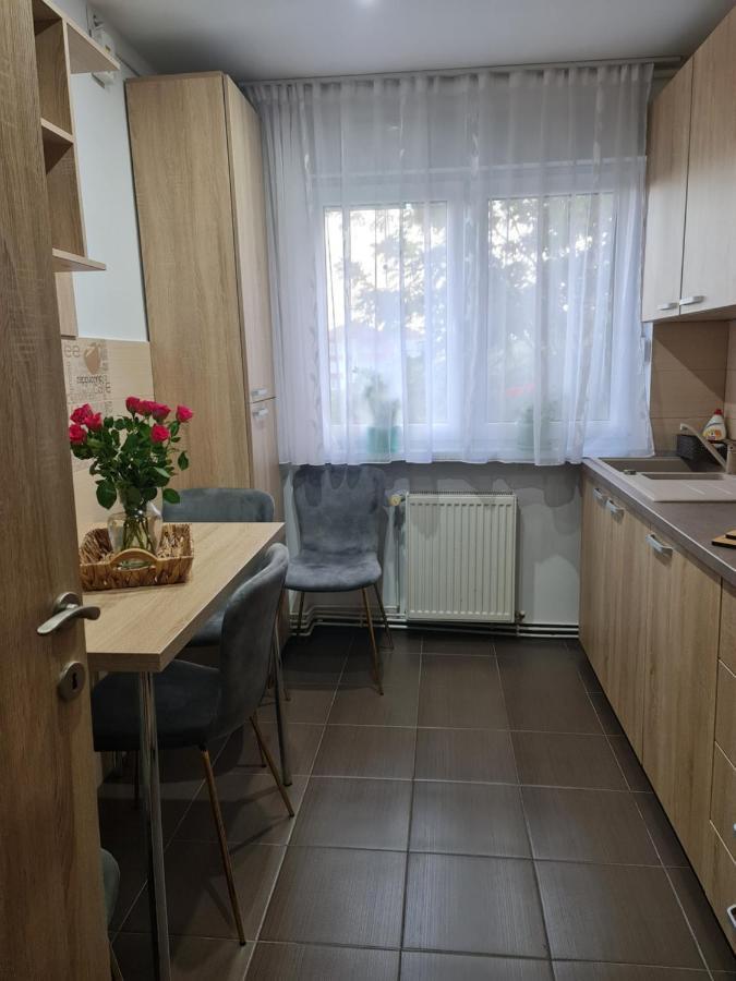 Apartament Modern Cristina&Jessica Mediaş 외부 사진