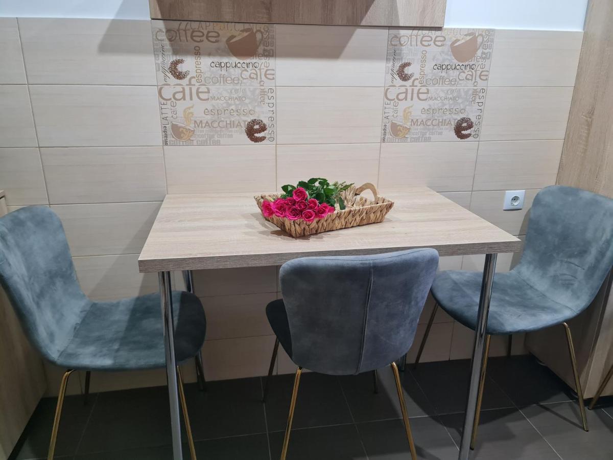 Apartament Modern Cristina&Jessica Mediaş 외부 사진