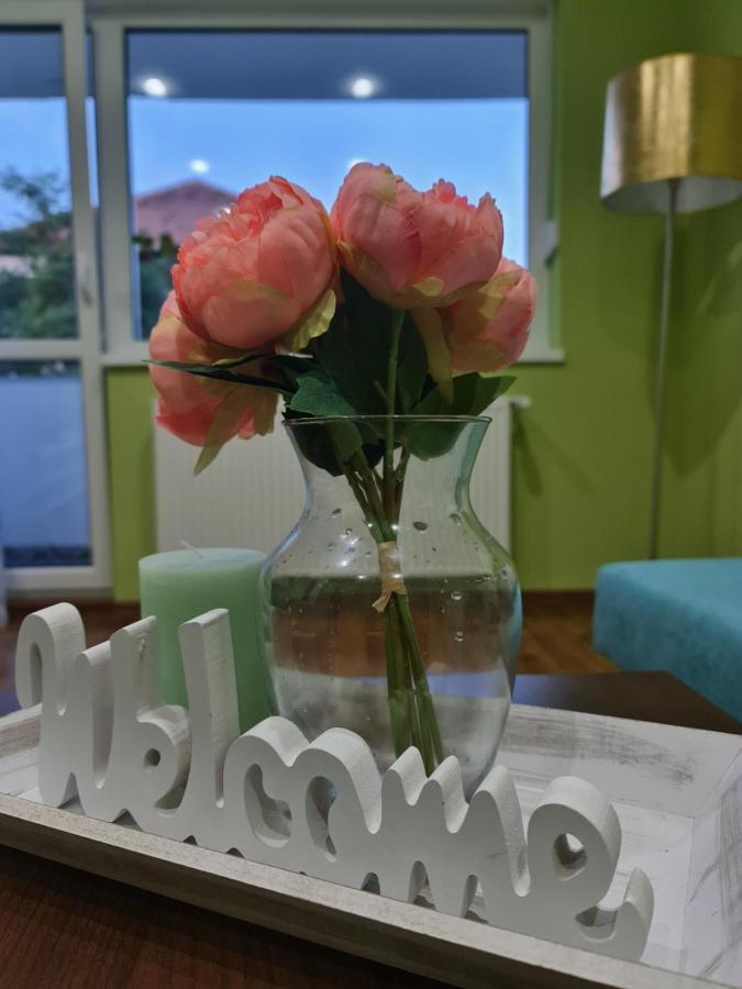 Apartament Modern Cristina&Jessica Mediaş 외부 사진