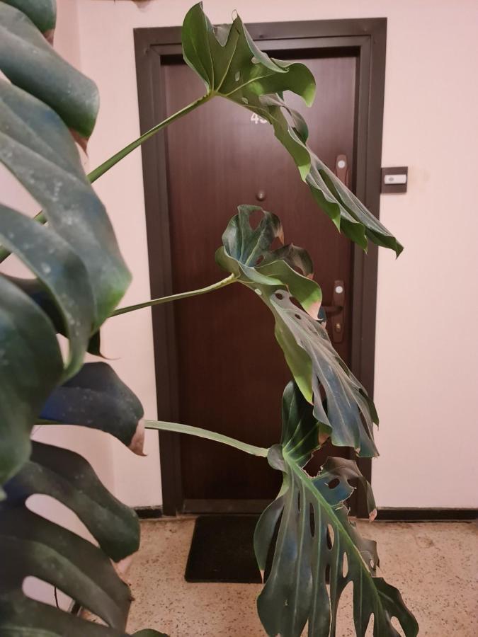 Apartament Modern Cristina&Jessica Mediaş 외부 사진