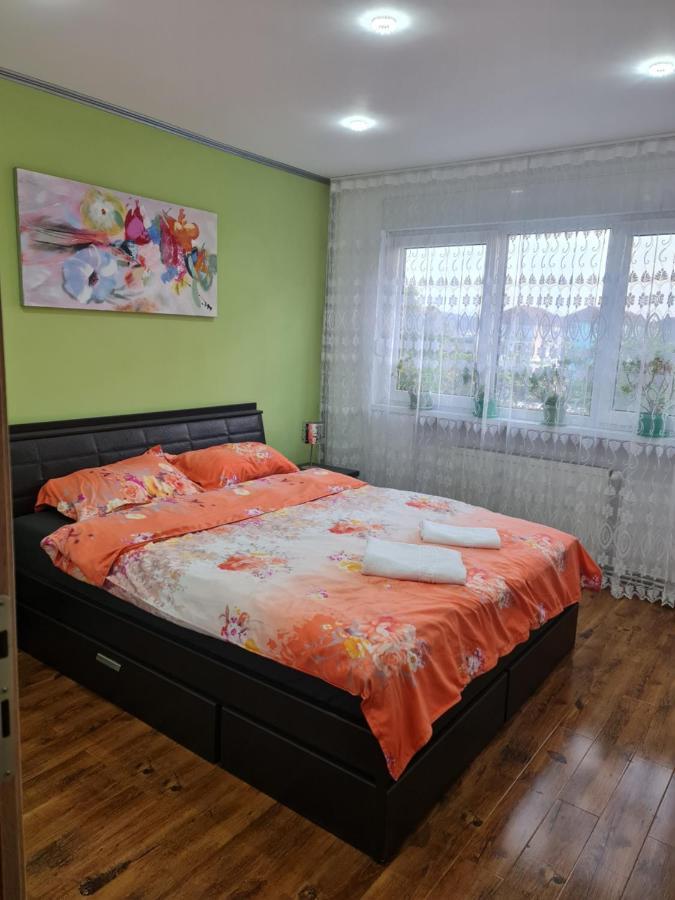 Apartament Modern Cristina&Jessica Mediaş 외부 사진