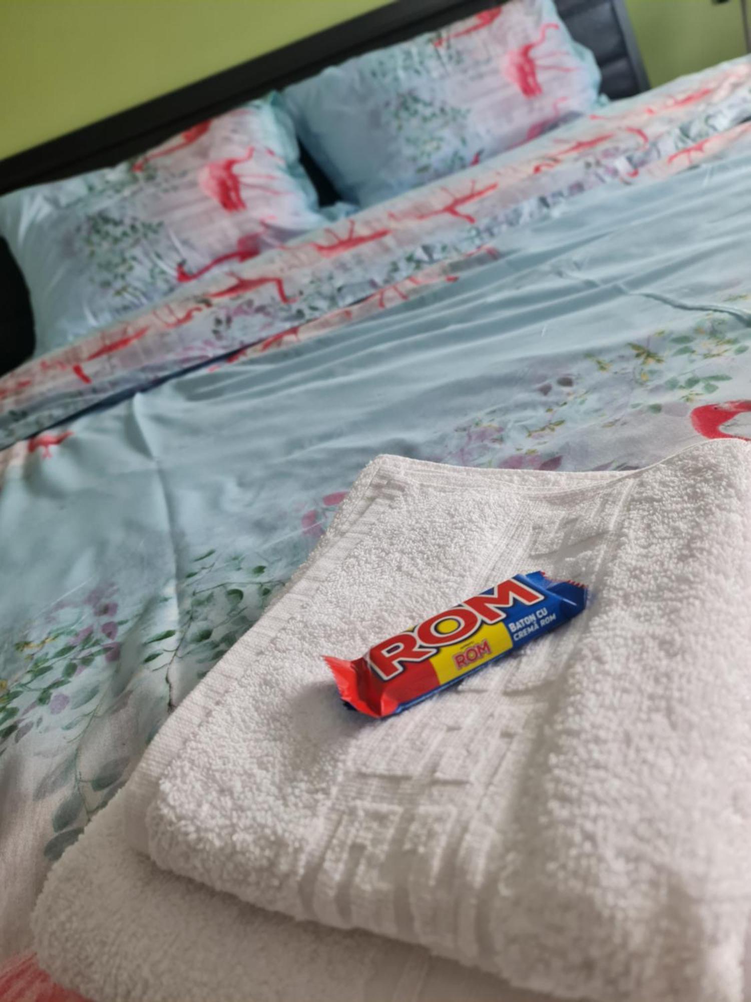 Apartament Modern Cristina&Jessica Mediaş 외부 사진