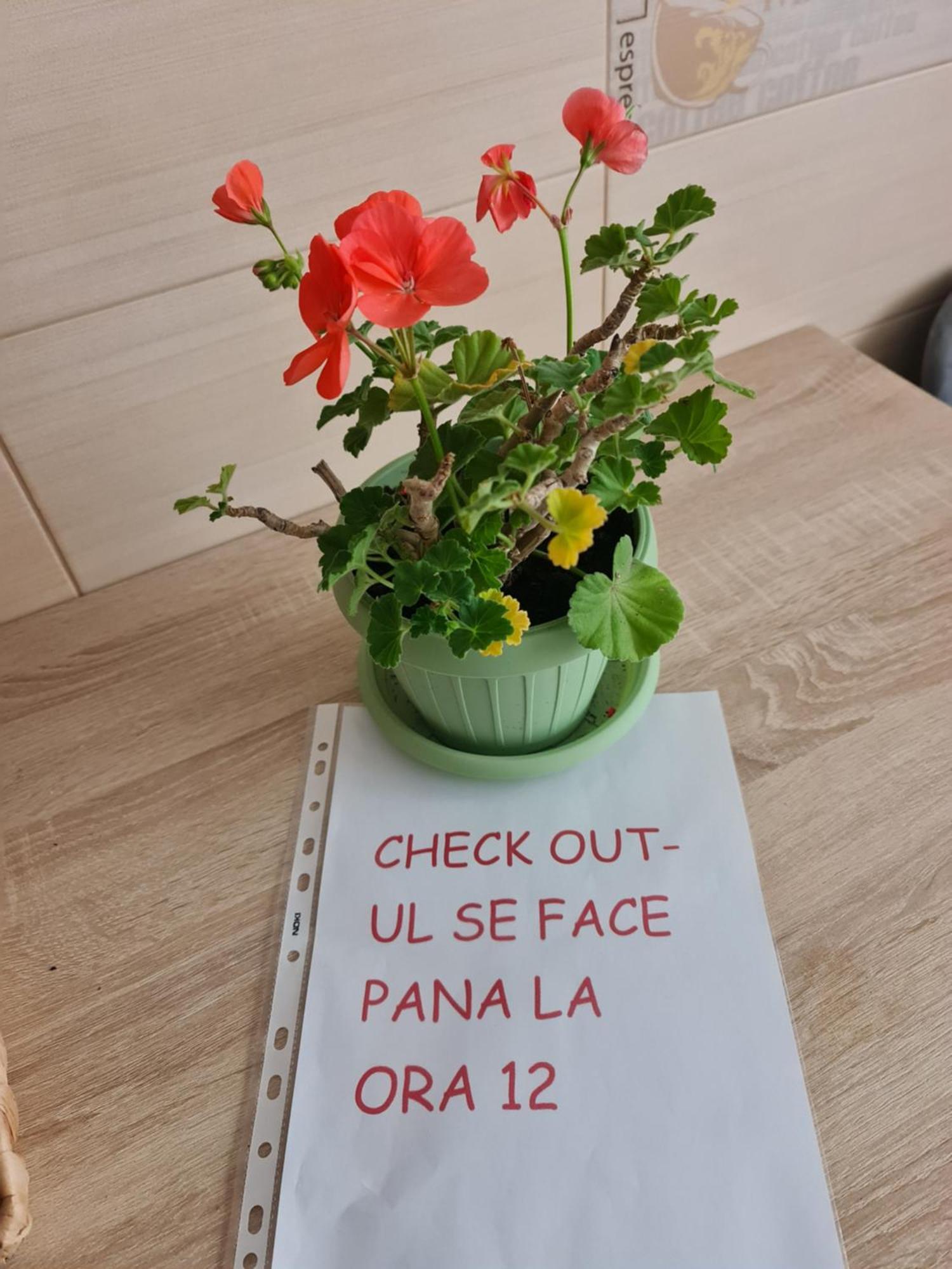 Apartament Modern Cristina&Jessica Mediaş 외부 사진